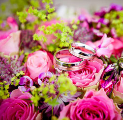 破解版直接用的网站攻击软件